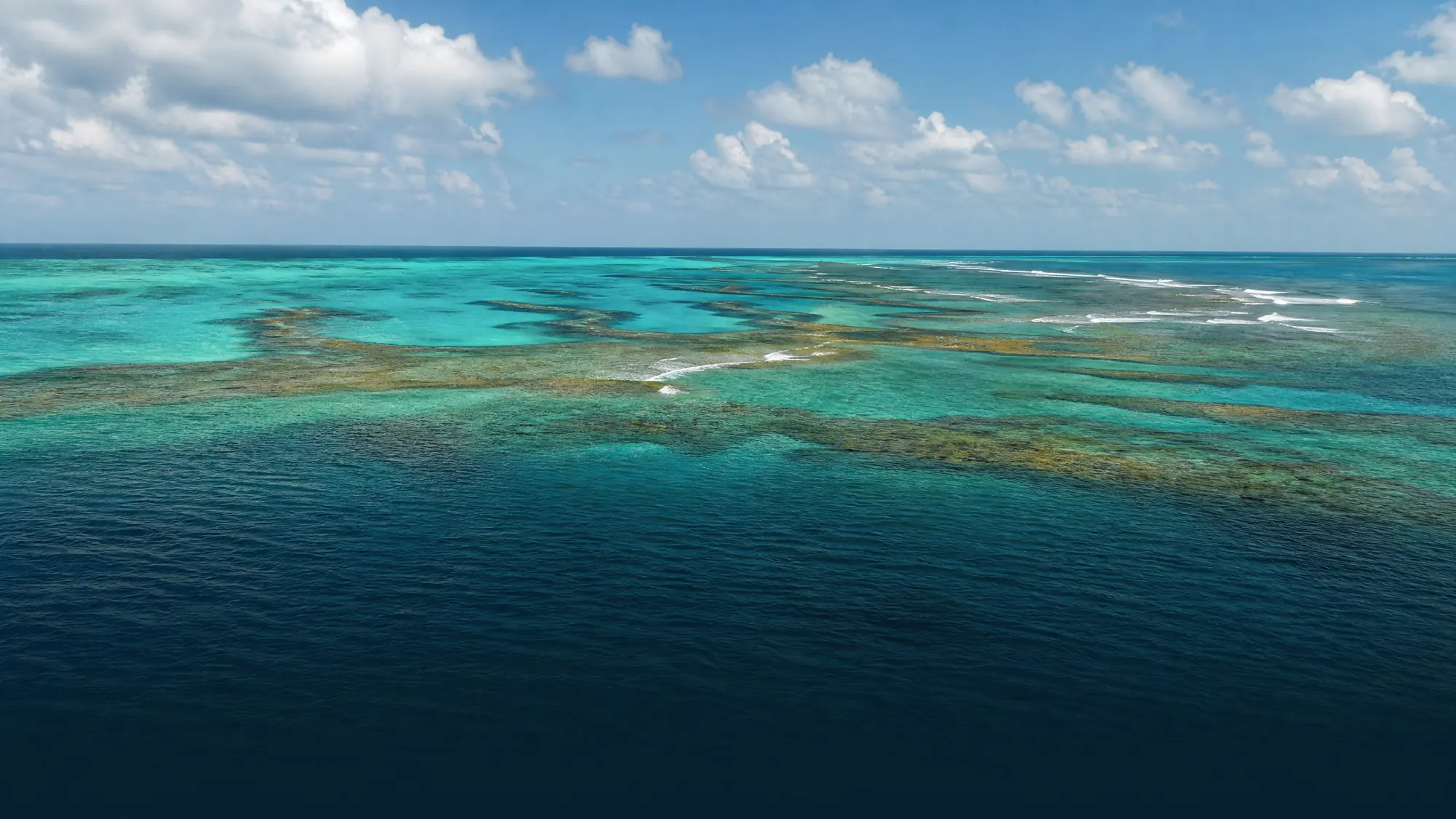 Agincourt Reef liegt am äußeren Rand des Großen Barriereriffs. Schnelle Katamarane erreichen das Riff von Port Douglas aus in 90 Minuten.